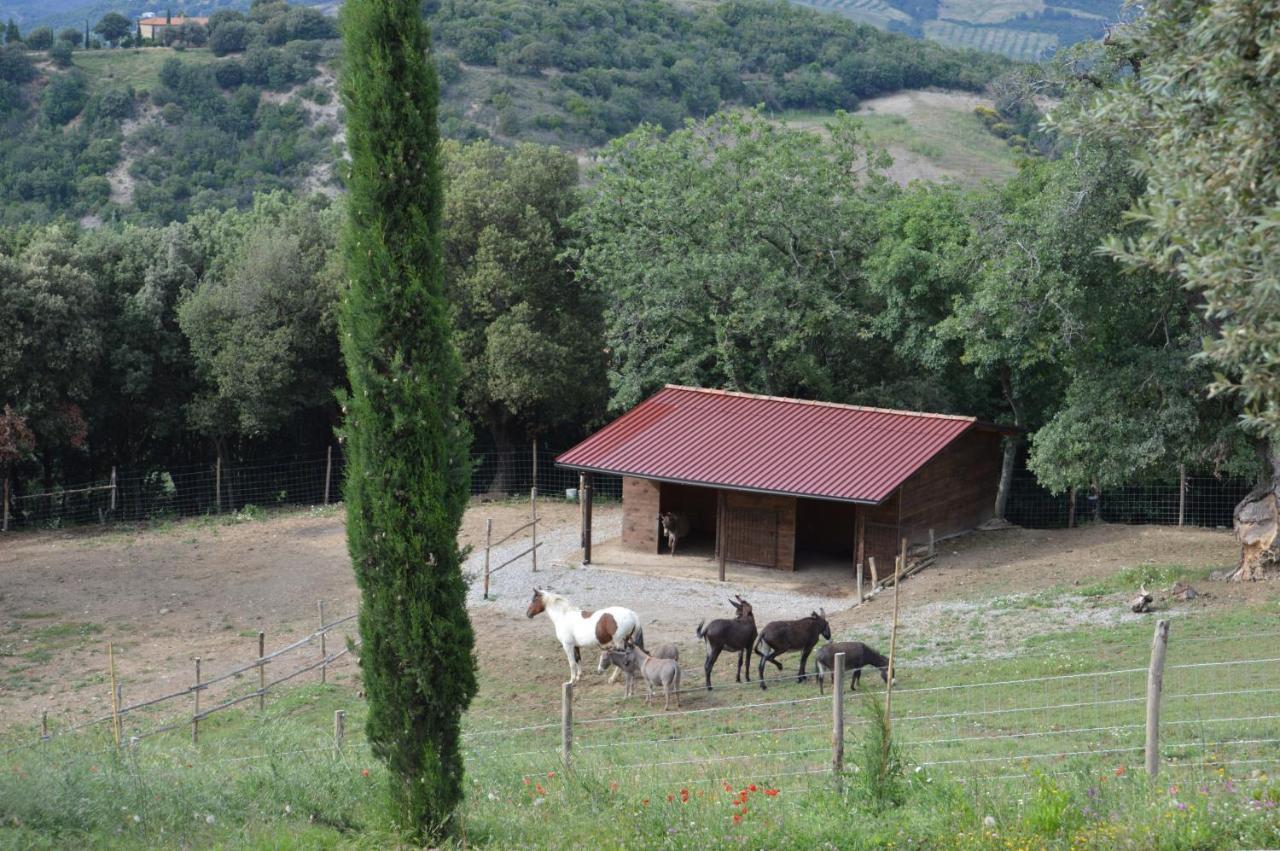 Bellavista Villa Seggiano Eksteriør billede