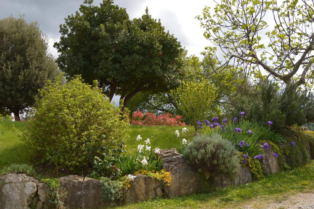 Bellavista Villa Seggiano Eksteriør billede